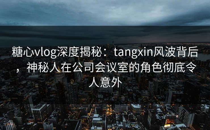 糖心vlog深度揭秘：tangxin风波背后，神秘人在公司会议室的角色彻底令人意外  第1张