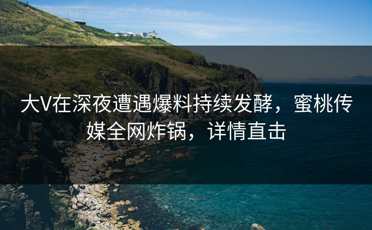 大V在深夜遭遇爆料持续发酵，蜜桃传媒全网炸锅，详情直击