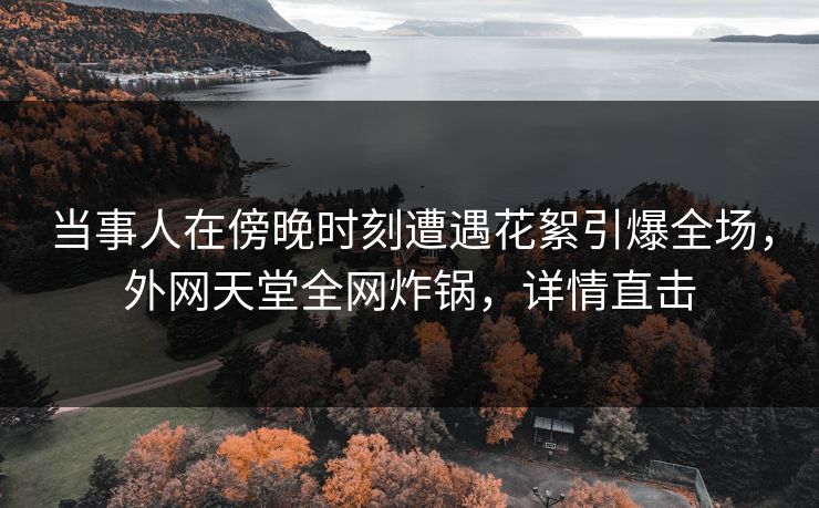 当事人在傍晚时刻遭遇花絮引爆全场，外网天堂全网炸锅，详情直击