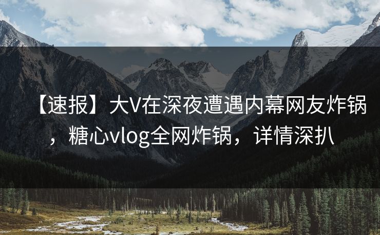 【速报】大V在深夜遭遇内幕网友炸锅，糖心vlog全网炸锅，详情深扒