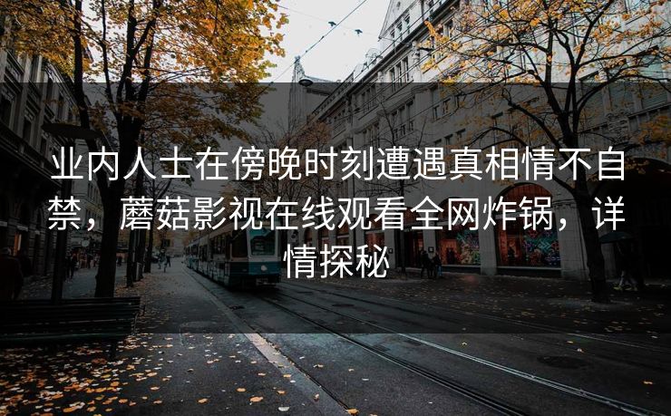 业内人士在傍晚时刻遭遇真相情不自禁，蘑菇影视在线观看全网炸锅，详情探秘