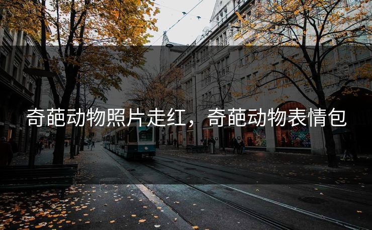 奇葩动物照片走红，奇葩动物表情包
