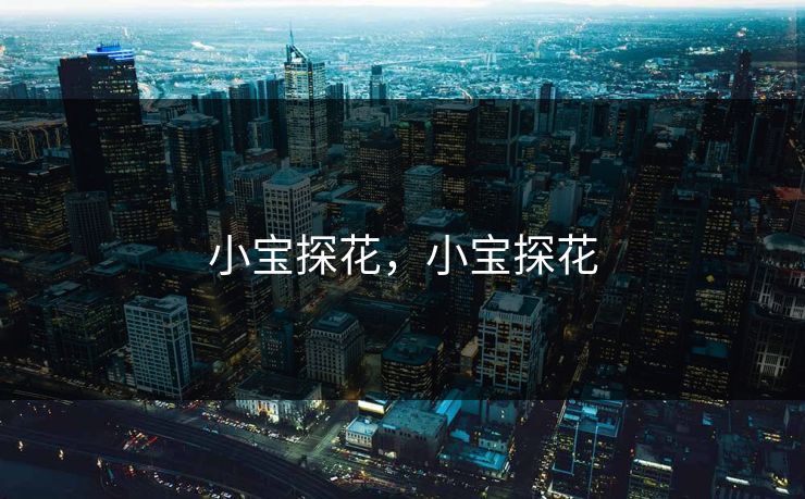 小宝探花，小宝探花