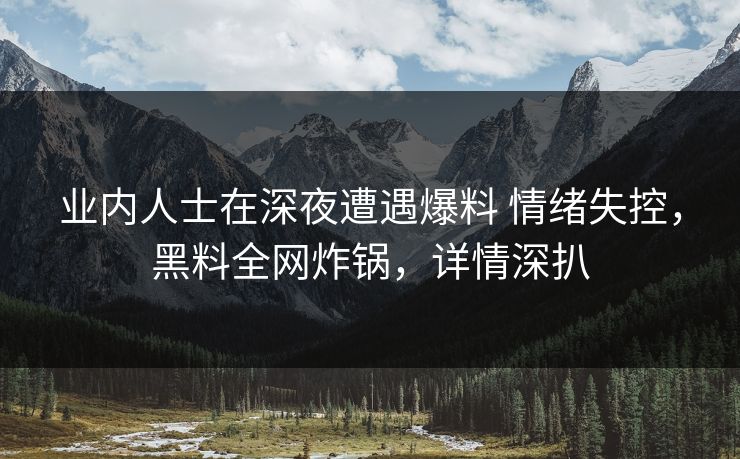 业内人士在深夜遭遇爆料 情绪失控，黑料全网炸锅，详情深扒