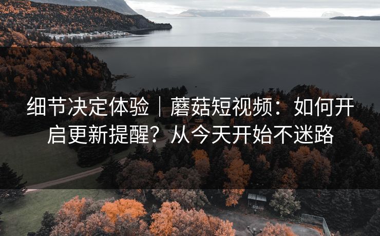 细节决定体验｜蘑菇短视频：如何开启更新提醒？从今天开始不迷路