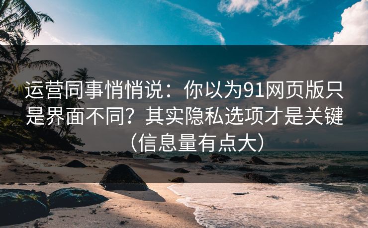 运营同事悄悄说：你以为91网页版只是界面不同？其实隐私选项才是关键（信息量有点大）